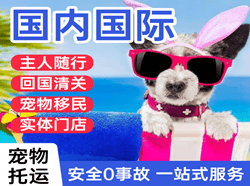 禄口空运地址国际宠物托运 【国